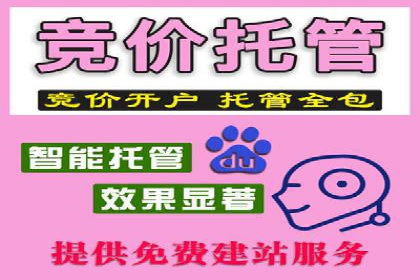竞价托管实战案例：优化广告预算分配
